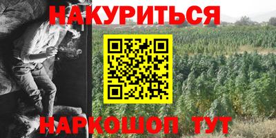 альфа пвп Заводоуковск
