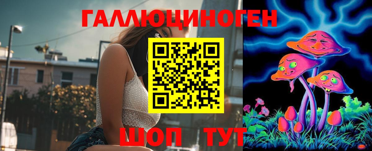 Кингисепп  Галлюциногенные грибы мицелий  Галлюциногенные грибы Psilocybine cubensis  Вход с VPN 