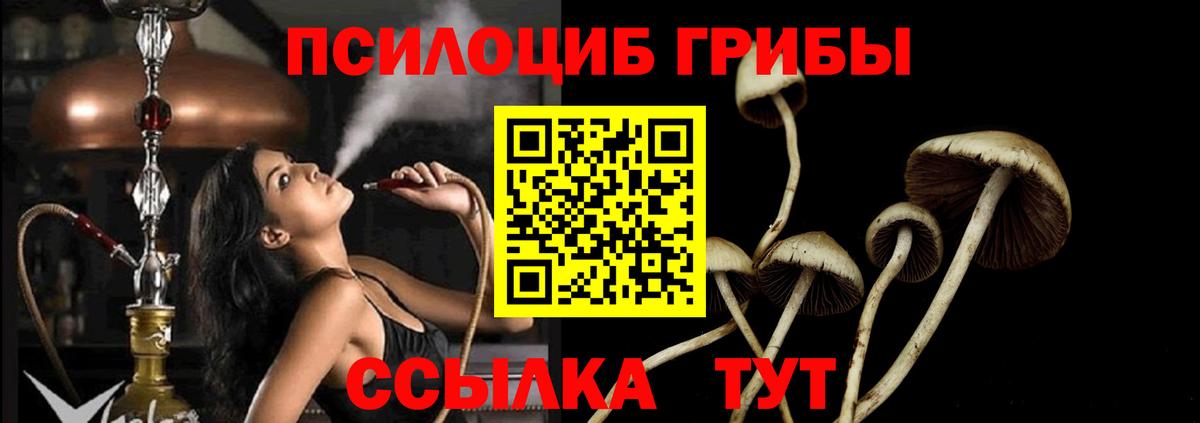 Галлюциногенные грибы ЛСД Кингисепп